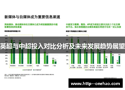 英超与中超投入对比分析及未来发展趋势展望 英超与中超投入对比分析及未来发展趋势展望